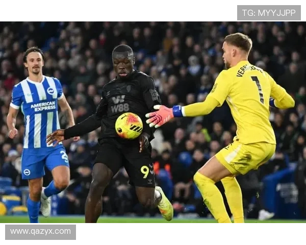 布莱顿官宣欣谢尔伍德续约四年